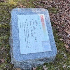 一緒にTikTokやりましょうか
