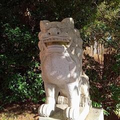 お友達の募集です。