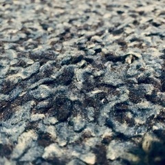 カーペットお譲りしますの画像