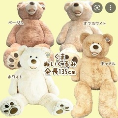 コストコ クマのぬいぐるみ135cm