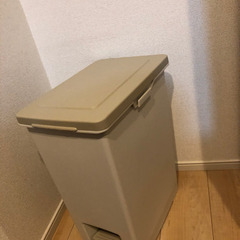 45リットルサイズのゴミ箱の画像