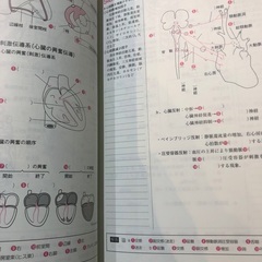 値下げしました！理学療法関連の参考書の画像