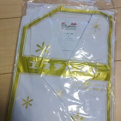 白衣　エステル白衣 L サイズ 長そで  ダブル