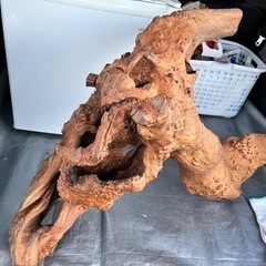 流木置物