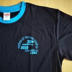 フルマラソン 【未使用】  MサイズTシャツ×2枚 完走メダル×1 水戸黄門漫遊 袋井クラウンメロンの画像