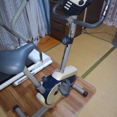アリコン製室内用バイクの画像