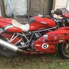 希少　DUCATIドカティ800ss