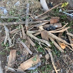 サザンカや板切れなどお譲りしますの画像