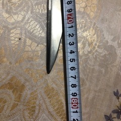 チタンピトン(砂浜用3本セット)の画像