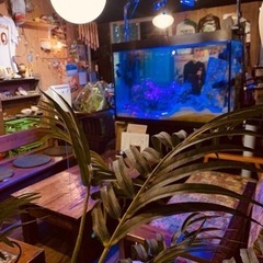 飲食店のアルバイトの画像