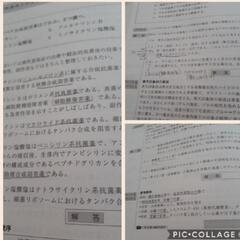 麻布デンタルアカデミー　歯科医師国家試験過去問題集　実践　2019　基礎下　薬理の画像