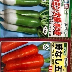 JAのたね　大根　人参