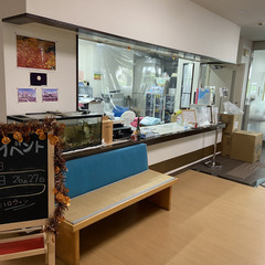 介護単発バイト　[大正区]デイケアでの介護業務をお願いいたします！の画像
