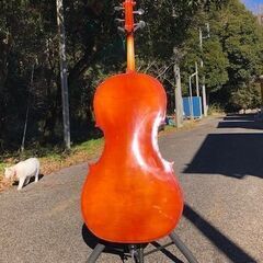 Cello 4/4の画像