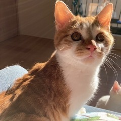 無事に家族が決まりました‼︎