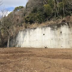 熱海のキャンプ用地レンタル　78坪-年間19.8万円（税込） - 土地販売/土地売買