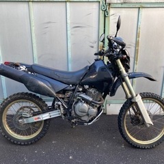 DR250S SJ44A 実動車