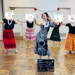都度払い！50代60代70代フラダンスサークル🏝フラダンス教室さいたま市北区大宮区見沼区の画像