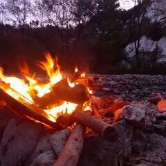 焚き火どうですか🔥