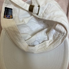 可愛い犬の白帽子の画像