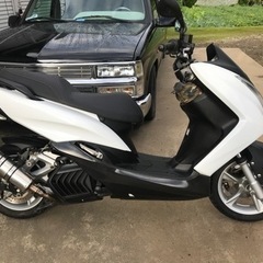 マジェスティS 155