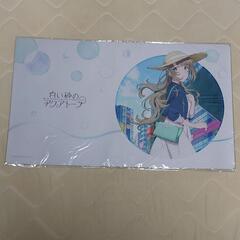白い砂のアクアトーププレイマット宮沢風花