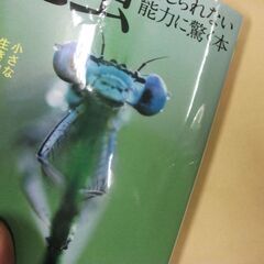 昆虫 信じられない能力に驚く本: 小さな生き物たちの大胆な生き方とはの画像