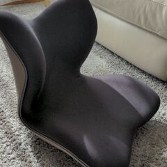 スタイル プレミアム（茶）| Style PREMIUM 骨盤サ...