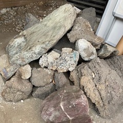 庭石などに