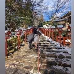 さいたま市住んでいる友達が欲しいです（女性限定）