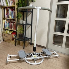 室内用運動器具（LEG WING TWISTER）