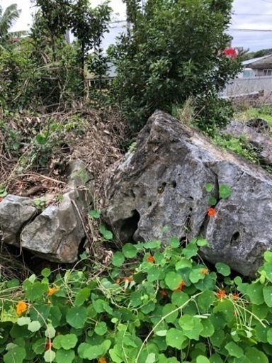 庭石　大、小、５ｔ