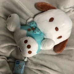 ポチャッコぬいぐるみ