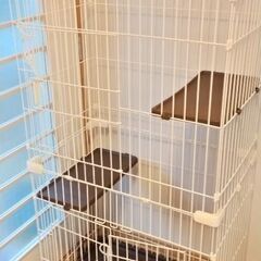 交渉中　キャットゲージの画像