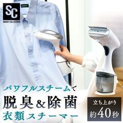 w229【近隣配達可能】アイリスオーヤマ　衣類スチーマー　PCS...