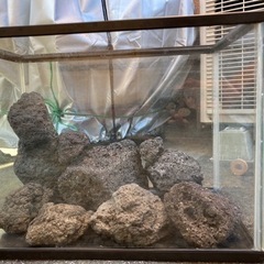 『富士山溶岩石セット』アクアリウム　