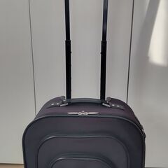【通販生活】スワニー　ステッキキャリー（キャリーケース・キャリーバッグ）の画像