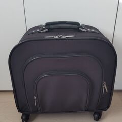 【通販生活】スワニー　ステッキキャリー（キャリーケース・キャリーバッグ）の画像