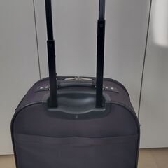 【通販生活】スワニー　ステッキキャリー（キャリーケース・キャリーバッグ）の画像
