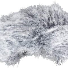 TASCAM リニアPCMレコーダー DR-05VER2-JJ(ウィンドスクリーン付き)の画像