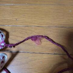 猫用ハーネスリードの画像
