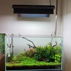 ADA水槽セット