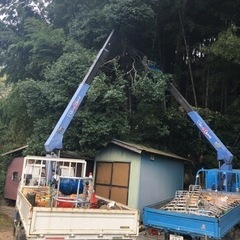 植木剪定、大きな木の伐採などお任せ下さい。