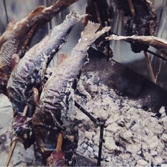 キャンプ仲間募集 - スポーツ