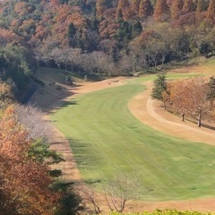 コンペ開催⛳️