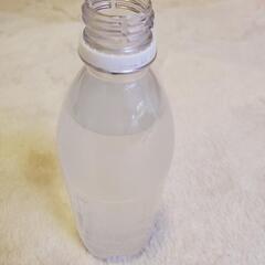 針子の成長にゾウリムシ‼️500ml200円‼️の画像