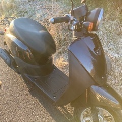 HONDA TODAY トゥデイ　インジェクションの画像