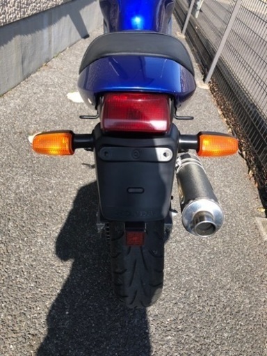 VTR 250実動　