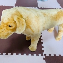 最終値下げ！底値。プレミア品！座れるぬいぐるみ　アニマルスツール　ラブラドールレトリバー　乗れる　アニマルぬいぐるみの画像