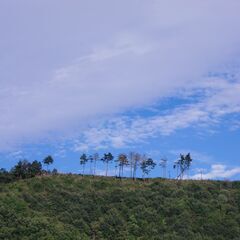 みどり市周辺の友人募集 - 友達